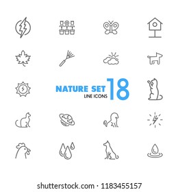 Nature icons. Set of  line icons. Butterfly, earth, cock. Environment concept. Vector illustration can be used for topics like ecology, climate, flora and fauna