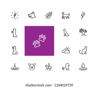 Nature icons. Set of  line icons. Dog, lightning, houseplant. Environment concept. Vector illustration can be used for topics like ecology, nature