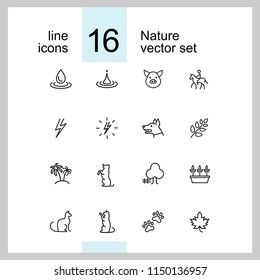 Nature icons. Set of line icons. Dog, lightning, houseplant. Environment concept. Vector illustration can be used for topics like ecology, nature