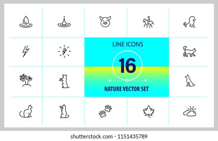 Nature icons. Set of line icons. Dog, lightning, houseplant. Environment concept. Vector illustration can be used for topics like ecology, nature