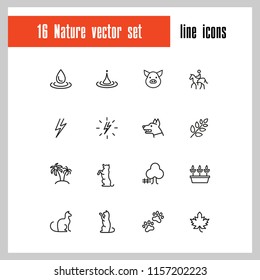 Nature icons. Set of line icons. Dog, lightning, houseplant. Environment concept. Vector illustration can be used for topics like ecology, nature