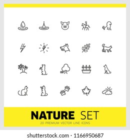 Nature icons. Set of line icons. Dog, lightning, houseplant. Environment concept. Vector illustration can be used for topics like ecology, nature