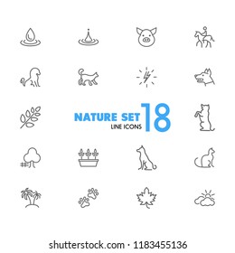 Nature icons. Set of line icons. Dog, lightning, houseplant. Environment concept. Vector illustration can be used for topics like ecology, nature