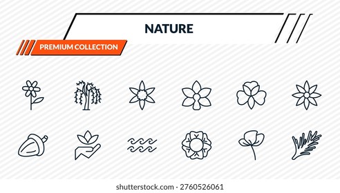 nature icons set - oleander, willow, jonquil, save nature, rosemary outline vector collection.