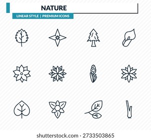 nature icons set - peppermint, gemstone, pine tree, astrantia, lemongrass outline vector collection.