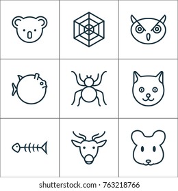 Nature icons set with rat, seafood skeleton, spider and other marsupial elements. Isolated vector illustration nature icons.