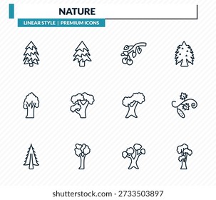 natur-icons set - rote kiefer, balsam tanne baum, schwarze kirsche baum, gurke shagbark hickory kontur vektor sammlung.