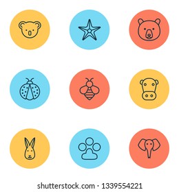 Nature icons set with sea star, rabbit, elephant and other bumblebee elements. Isolated vector illustration nature icons.