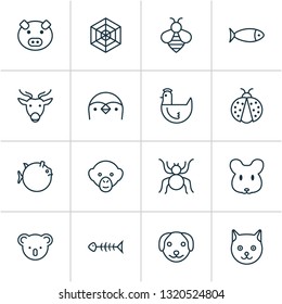 Nature icons set with spider web, fish bone, penguin and other baboon elements. Isolated vector illustration nature icons.