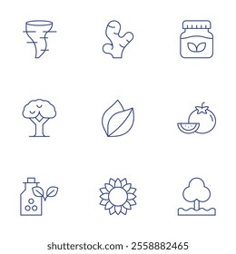 Nature icons set. Thin Line style, editable stroke. ginger, herbal, homeopathy, leaf, sunflower, tomato, tornado, tree.