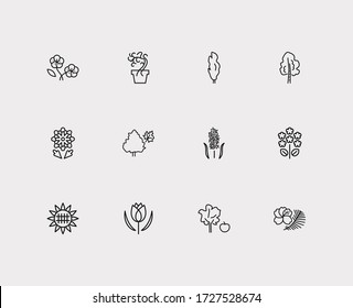 Nature icons set. Tulip and nature icons with geranium, garden and poplar. Set of fruit for web app logo UI design.