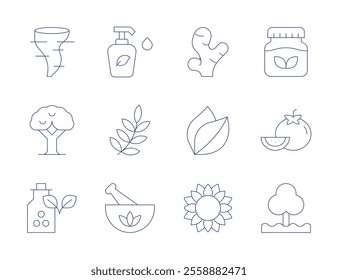 Nature icons. Thin Line style, editable stroke. ginger, herbal, homeopathy, leaf, lotion, nature, remedy, sunflower, tomato, tornado, tree.
