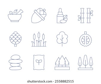 Nature icons. Thin Line style, editable stroke. acorn, argan oil, bamboo, cattail, durian, fertilizer, forest, mortar, pine cone, stones, tree, trees.