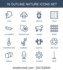 nature icons. Trendy 16 nature icons. Contain icons such as lion, shell, beetle, field, cucumber, easter egg, horse, drop, temperature, bamboo. nature icon for web and mobile.