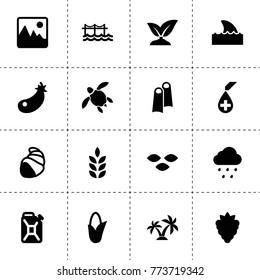 Nature icons. vector collection filled nature icons. includes symbols such as wheat, berry, seeds, corn, eggplant, sprouting, oil can. use for web, mobile and ui design.