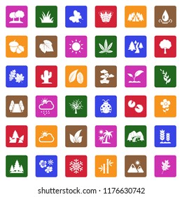 Nature Icons. White Flat Design In Square. Vector Illustration. 