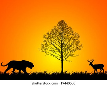 nature illustration