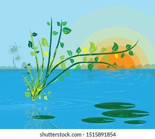 Nature illustration art. Nature with water, sky, sun and water plants floating above water. Blue water and sky and nature vector illustration.