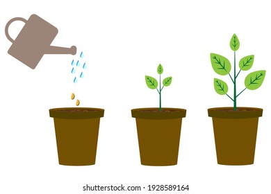 Nature illustration. Botanical background. A watering can water pots of different sizes. Stock image. EPS 10.