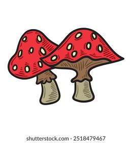 Ilustração da Natureza Colorido - Cogumelo-01