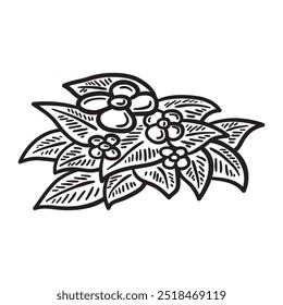 Nature Illustration Colorless - Plant-07