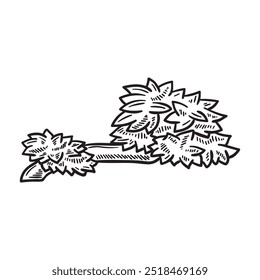 Nature Illustration Colorless - Tree