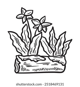 Nature Illustration Colorless - Wood and Flower-13