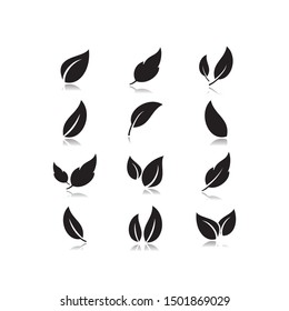 Nature illustration with a set of leaves icons of different shapes.