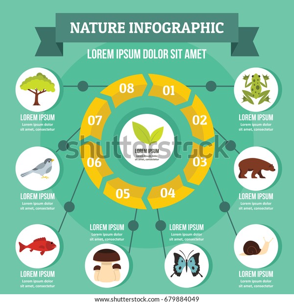 Nature infographic banner\
concept. Flat illustration of nature infographic vector poster\
concept for web