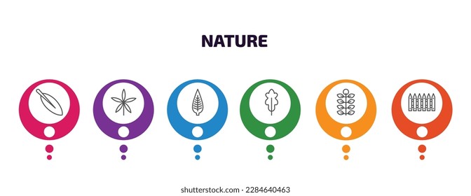 nature infographic template with icons and 6 step or option. nature icons such as magnolia leaf, palmatelly, lanceolate, oak leaf, american mountain ash, fences vector. can be used for banner, info