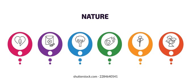 nature infographic template with icons and 6 step or option. nature icons such as love nature, flower seeds, paper birch tree, asteroids, quaking aspen tree, bonsai tree vector. can be used for