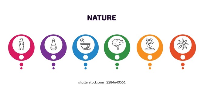 nature infographic template with icons and 6 step or option. nature icons such as polar, essence, flower therapy, red maple tree, plants growing, petals vector. can be used for banner, info graph,