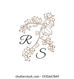 Iniciales Naturales aisladas, letras mayúsculas con viburnum, rama con bayas Vector naturaleza monograma para la boda, saludo. Cartas con elementos botánicos para tarjeta, invitación, guardar la fecha.