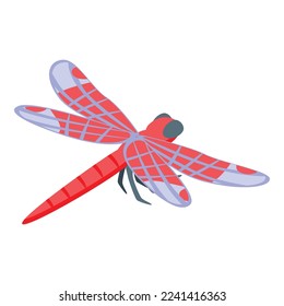 Nature insect icon isometric vector. Wing dragonfly. Shape butterfly