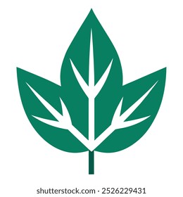 Nature Inspired Leaf Graphic illustration.