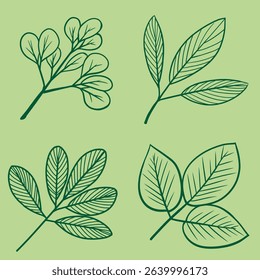 Nature Inspired Line Drawing Vector of Leaves and Plants, Elegant Botanical Art for Eco Branding and Digital Use