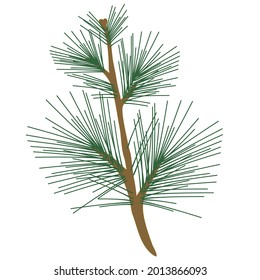 Nature inspired, minimal style vector illustration of a brown pine branch, with green evergreen needles.