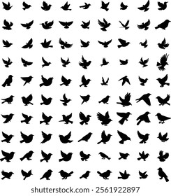 nature, isolated, illustration, silhouette, black, design, icon, image, vector, wild, drawing, background, element, wildlife, flight, shape, animal, graphic, sign, symbol, collection, bird, wing, set