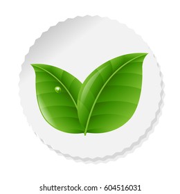 Etiqueta De Naturaleza Con Hojas Con Malla De Gradiente, Ilustración De Vectores