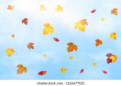 Nature Landscape Background with Falling Autumn falling red, yellow, orange, brown Maple Leaves on Blue sky, Fluffy white Realistic clouds. Elegant Design with Rays of Sun. Vector Illustration.