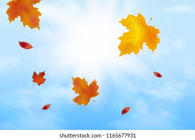 Nature Landscape Background with Falling Autumn falling red, yellow, orange, brown Maple Leaves on Blue sky, Fluffy white Realistic clouds. Elegant Design with Rays of Sun. Vector Illustration.