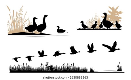 Nature landscape with birds silhouettes. Ducks and geese.  Vector illustration.	