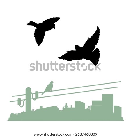 Nature landscape with birds silhouettes. Flyight doves above the city. Vector illustration.
