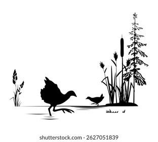 Nature landscape with birds silhouettes. Waterhens on the lake. Vector illustration.	
