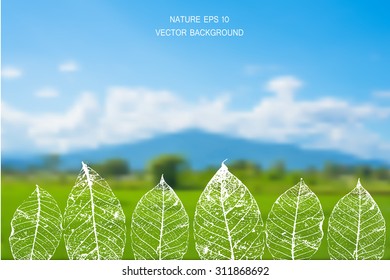 A nature landscape blurred background vector illustration.Vector blurred nature background with Eco label of Organic Standard Farm Fresh Food. Think green. Premium quality green product. Quote.