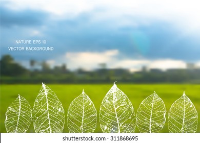A nature landscape blurred background vector illustration.Vector blurred nature background with Eco label of Organic Standard Farm Fresh Food. Think green. Premium quality green product. Quote.