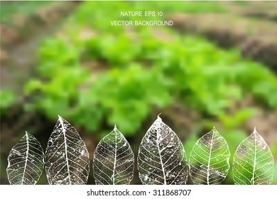 A nature landscape blurred background vector illustration.Vector blurred nature background with Eco label of Organic Standard Farm Fresh Food. Think green. Premium quality green product. Quote.