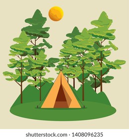 nature landscape with camp and trees with sun