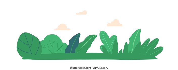 Nature Landscape, City Park, Urban Garden Summer or Spring Time Scenery Background, Empty Public Place for Walking and Recreation With Green Bushes and Lawn. Cartoon Vector Illustration