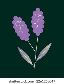 Nature and landscape concept. Picture with bush of purple lavender or lupine. Blooming flower sticker. Gardening and growing plants. Design element for posters. Cartoon gradient vector illustration